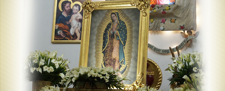 Visita al Santuario de Guadalupe