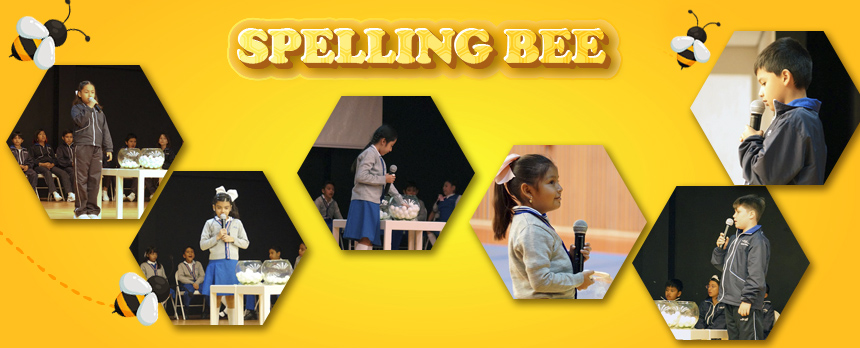 Spelling Bee